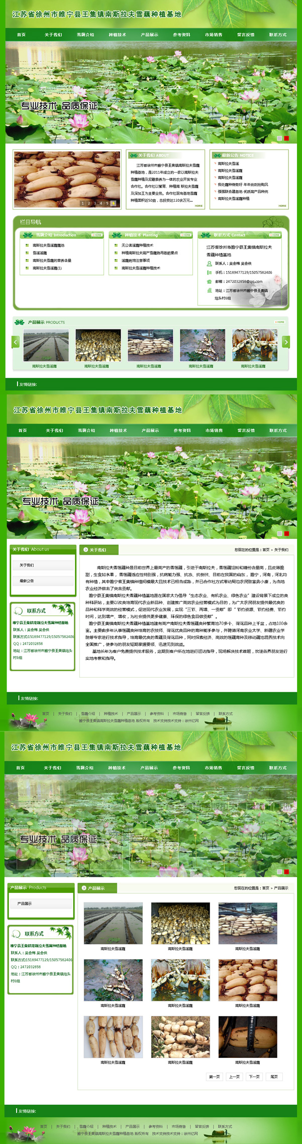 江蘇省徐州市(shì)睢甯縣王集鎮南(nán)斯拉夫雪(xuě)藕種植基地(dì)
